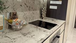 Tembusu Grand (D15), Condominium #560863821